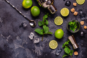 Fresh tasty ingrediens for delicious mojito cocktail