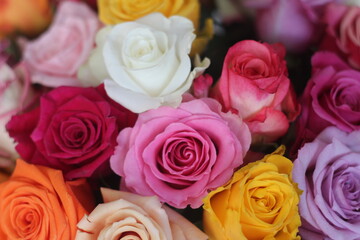 bouquet of roses