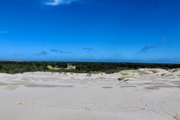 denmark, Wanderdüne, rabjerg mile