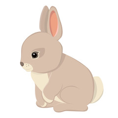 Little cute cartoon rabbit isolated on white background. Vector illustration
