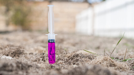 An injection with an unknown liquid is stuck into the ground in an empty garden bed