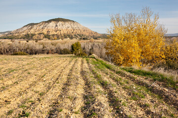Cerros del Rincón. Guadalajara. España. Europa.