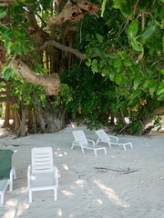 Several white plastic sunbeds stand in the shade of trees on the white sand of the ocean beach against the background of the sky and sea waves. The seashore without people on a sunny summer day.