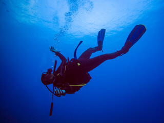Scuba diver in clear blue water. Diving in clear water. Sardinia Italy