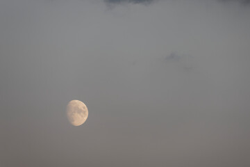 Mond