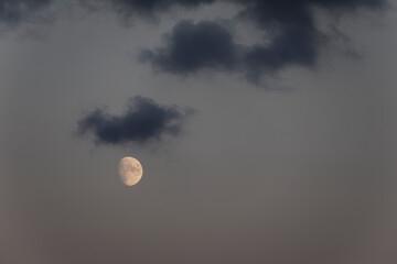 Mond