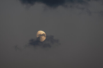 Mond