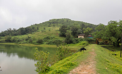 A Countryside view of a landscape with lush vegetation in section of the Western Ghats of Karnataka, India.
