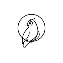 Fototapeta premium owl logo vector template line