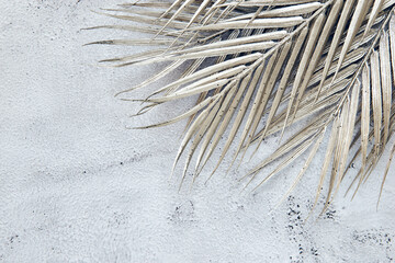 Shiny palm leaf on beton wall. Abstract frame background with copy space. Flat lay glitter confetti