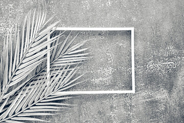 Shiny palm leaf on beton wall. Abstract frame background with copy space. Flat lay glitter confetti