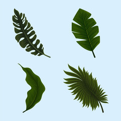 icons jungle leaves