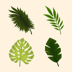 set jungle tropical leaf
