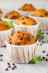 Muffins with chocolate chips on a gray concrete background. Copy space.