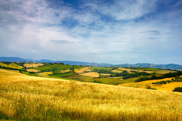 Rural landscape along the road from Fano to Mondavio, Marche