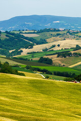 Rural landscape along the road from Fano to Mondavio, Marche
