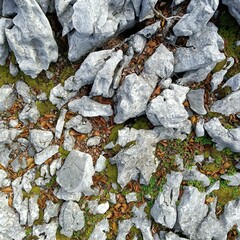 overhead shot of moss-covered granite rocks against a background of fallen tree leaves in autumn.