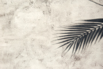 Fototapeta na wymiar Shiny palm leaf on beton wall. Abstract frame background with copy space. Flat lay glitter confetti