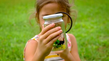 A child girl catches butterflies with a butterfly net. Selective focus.