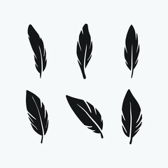 Set bird feather drawing. Feather hand drawn vector illustration.