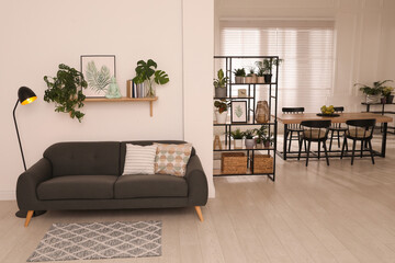 Modern living room interior with comfortable sofa and beautiful plants