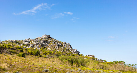 Fototapeta na wymiar Rugged mountain landscape with fynbos flora in Cape Town