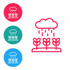 Red line Plant sprouts grow in the rain icon isolated on white background. Seedling concept. Set icons in circle buttons. Vector