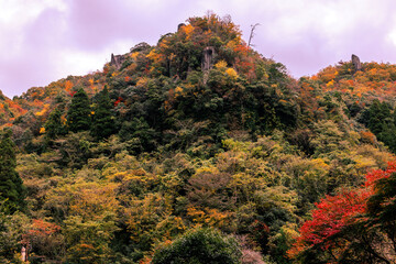 紅葉の深耶馬渓