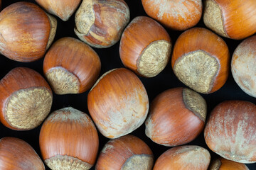 Hazelnuts on a black background. Fresh hazelnut harvest is scattered on black table..