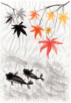 Hand drawn sketch in Japanese and Chinese nature ink illustration sumi-e tradition on aged rice paper. Maple tree branch with red and gold yellow autumn leaves and carp fish floating in the pond