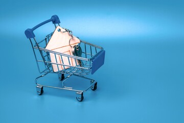Wooden house keychain with keys in a metal shopping trolley on a blue background. Home purchase concept, sale