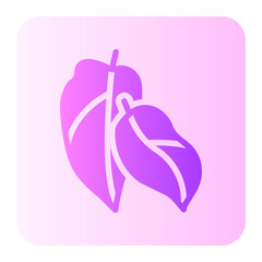 Philodendron gradient icon