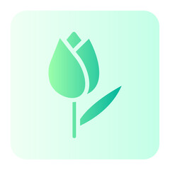 tulip gradient icon