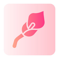 Obraz premium Calla gradient icon