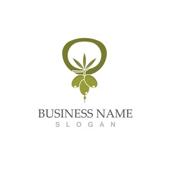 olive icon vector illustration