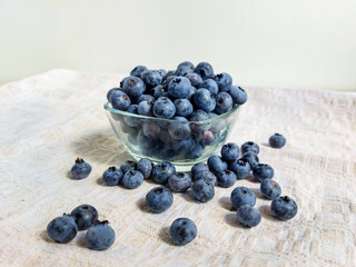 Big, ripe cultivated blueberries or highbush blueberries in a glass bowl and on table covered with gray tablecloth with white background in bright sunlight