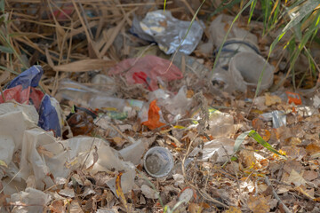 Discarded plastic bottles and other garbage in a meadow in the shore zone
