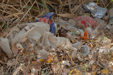 Discarded plastic bottles and other garbage in a meadow in the shore zone