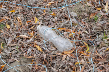 Discarded plastic bottles in a meadow in the shore zone