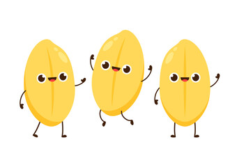 Rice character design. rice vector on white background. Paddy vector.