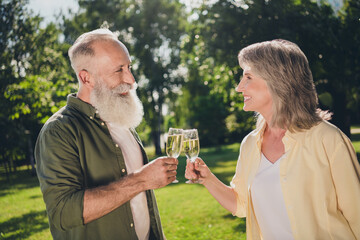 Photo of happy old cheerful retired pensioner people clink glass champagne nature outside outdoors in park