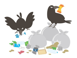 ゴミを荒らすカラス