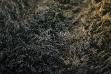 wool leaf sheep ears