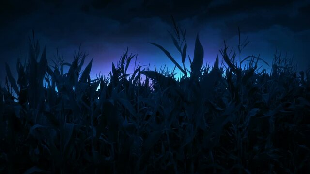 Alien Colorful Lights From UFO In Corn Field