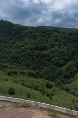 mountain road and forest