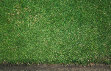 Green lawn in the park. Edge of a grass field. Freshness yard in springtime. Natural environment...