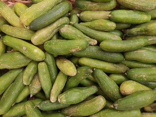 Full screen of cucumbers in a market. Cucumber is the fruit of the cucumber (Cucumis sativus), which is usually eaten in the form of a salad.