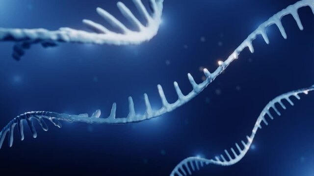RNA, Epigenetics concept animation