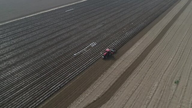 Farmers use planters to plant plastic coated peanuts on farms, North China
