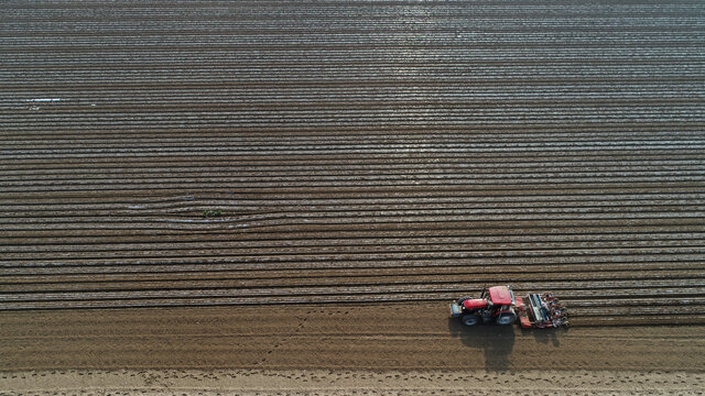 Farmers use planters to plant plastic coated peanuts on farms, North China
